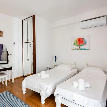 阿米戈别墅旅馆